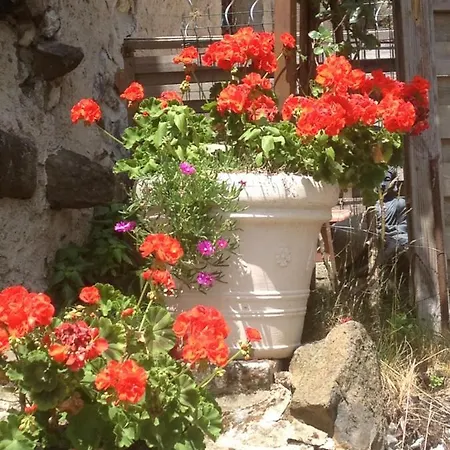 Villa Fraises Des Bois Saint-Priest  Exterior foto