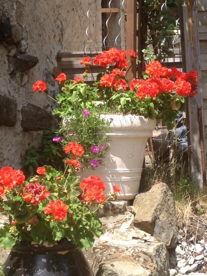 Holiday home Fraises Des Bois Saint-Priest (Ardeche)